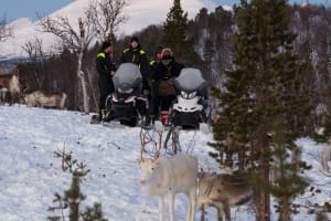 Snowmobile and Reindeer Feeding Experience from Tromsø