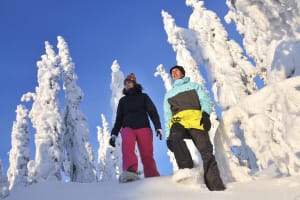 Snowshoeing Excursion from Vuokatti