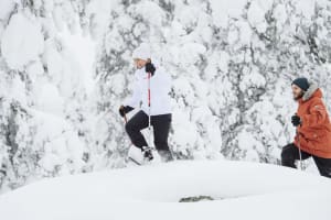 Guided Snowshoeing Excursion in Urho Kekkonen National Park from Saariselkä