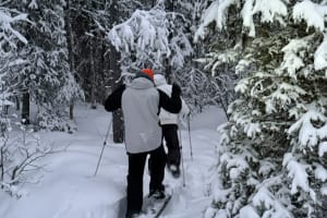 Guided Snowshoeing Tour and Reindeer Farm Visit from Levi