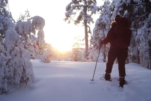 Snowshoeing Hike in Luleå