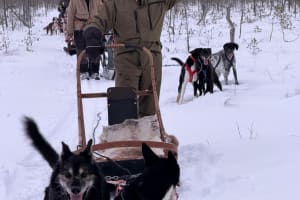 Paseo en trineo tirado por huskies y renos con pesca en hielo cerca de Rovaniemi