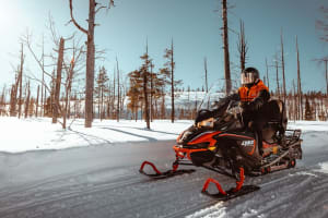 Ganztägige Schneemobil-Safari in Ylläs