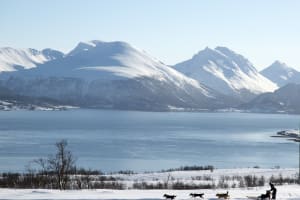 Self-drive Dog Sledding Excursion in Kvaløya from Tromsø