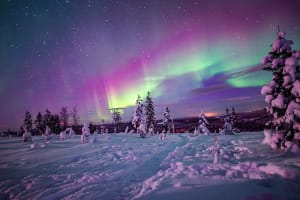 Excursion photographique des aurores boréales à partir de Rovaniemi