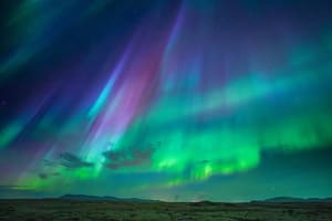 Northern Lights Excursion and Whale Watching Tour from Reykjavík