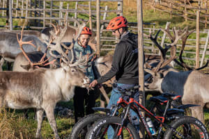Excursión en verano en Fat Bike eléctrica y visita a una granja de renos desde Rovaniemi