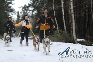 Cani-randonnée guidée à Rivière-Rouge près de Mont-Tremblant