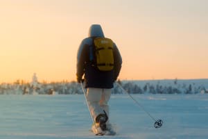 Aventure arctique en raquettes à Rovaniemi
