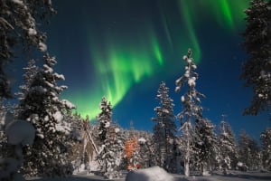 Excursion photographique des aurores boréales à partir d'Ylläs