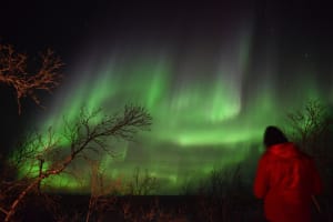 Auroras Boreales y Naturaleza Ártica desde Abisko