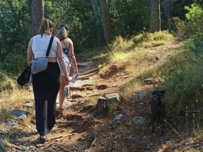 Visite guidée de Split à pied avec dégustation de vin