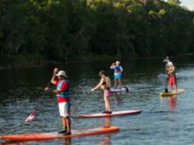 Excursion en Stand Up Paddle de Móra la Nova à Miravet, Tarragone