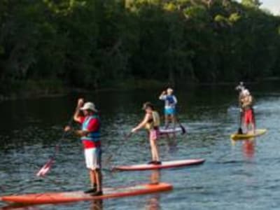 Excursión en paddle surf desde Móra la Nova a Miravet, Tarragona