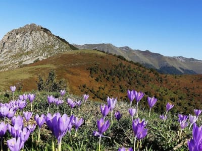 Randonnée guidée au Col de Berbeillet dans le Val d'Azun, Pyrénées