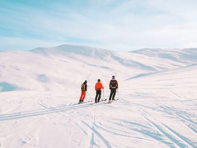 Initiation to Ski Touring in Björkliden near Abisko