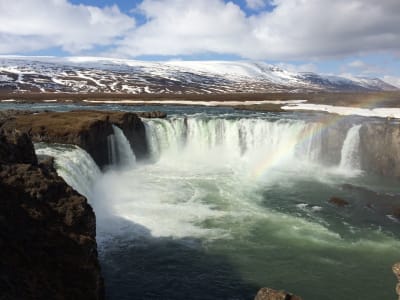 Tour du lac Mývatn en minibus et baignade dans les sources d'eau chaude depuis Akureyri