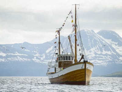 Fjord and Island Boat Tour from Tromsø on a Historic Ship