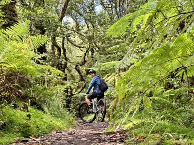 Mountain Bike Tour along the Levada da Serra, in Madeira