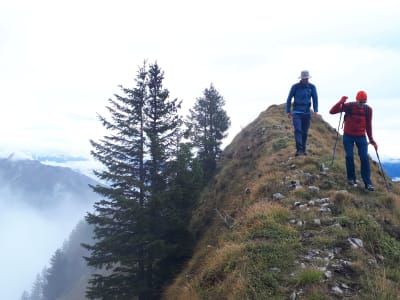 Randonnée guidée sur le sommet du Crêt des mouches, près d'Annecy