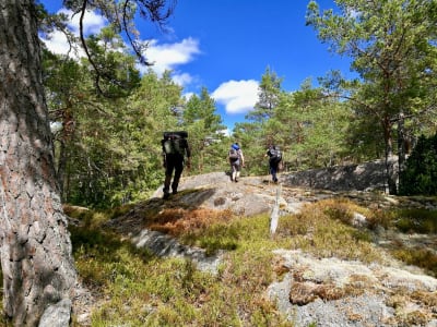 Excursión de senderismo cerca de Estocolmo