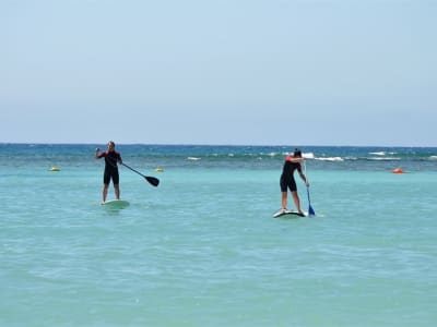 Alquiler de Paddle Surf en Caleta de Fuste, Fuerteventura