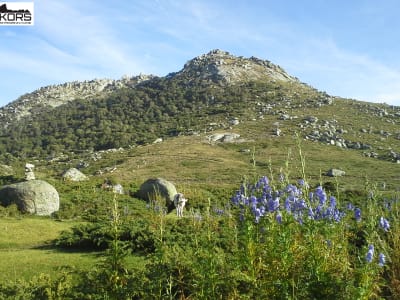 Randonnée découverte du plateau du Coscione, Alta Rocca