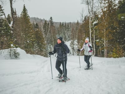 Senderismo invernal en el Parque Regional de Forêt Ouareau con salida de Montreal