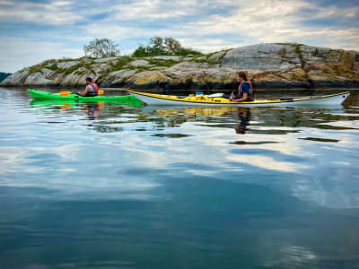 Excursion d'une journée en kayak de mer avec observation des phoques dans le Bohuslän