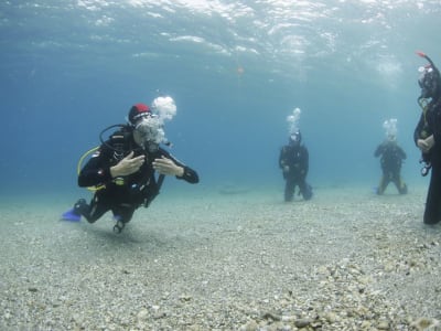 Découvrez la plongée sous-marine à Skopelos