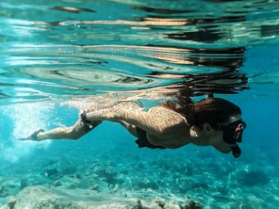 Snorkeling à Comino et sur l'île de Gozo, Malte