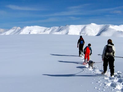 Randonnée raquettes à neige autour du Lioran, Massif du Cantal