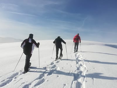 Exploration en raquettes dans le Salzkammergut