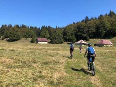 Paseo supervisado en bicicleta de montaña eléctrica por el Semnoz, Annecy