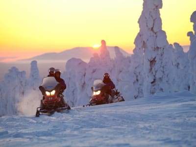 Sesión de motos de nieve en Laponia