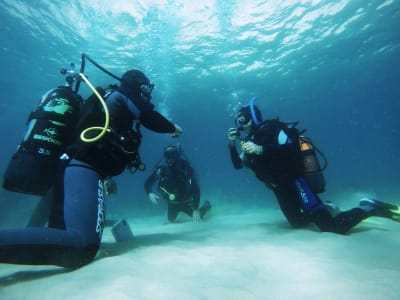 Discover scuba diving at the Professor Luíz Saldanha Marine Park in Sesimbra