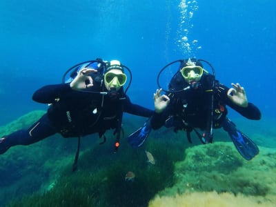 Entdecken Sie das Tauchen in St Paul's Bay, Bugibba, Malta