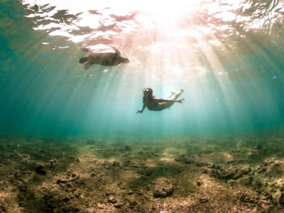 Descubra la apnea en Tahití