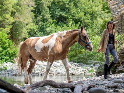 Reiten und Schwimmen in Zentralkorsika, Corte