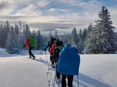 Schneeschuhwandern am Lac du Mariet, in der Nähe von Aix-les-Bains