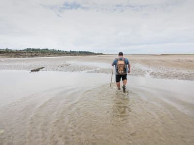 Excursión guiada y observación de aves y focas en la Bahía de Somme