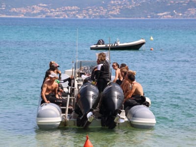 Guided Snorkelling Excursion in Ajaccio