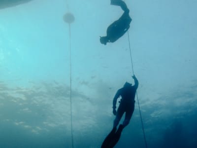 Freitauchen im Cousteau-Reservat in Guadeloupe