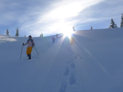Snowshoeing Experience in the Vienna Alps