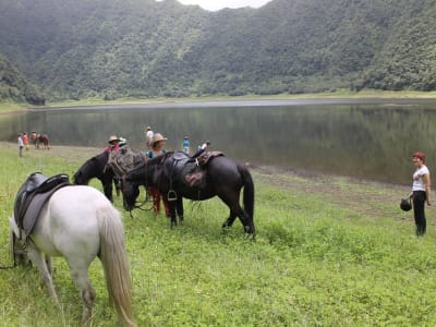 Randonnée à cheval au Grand-Etang, La Réunion