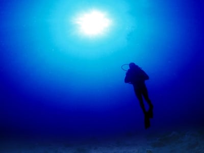 Discover scuba diving in the Elba Island