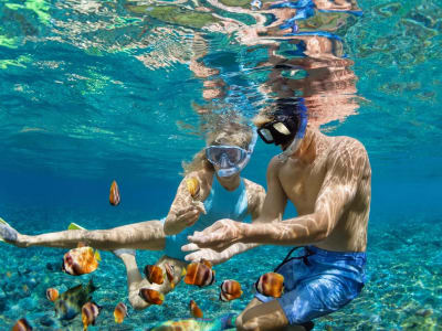 Guided Snorkeling Tour to Playa de Llevant from Passeig Marítim Bogatell in Barcelona