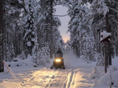 Schneemobilsafari für Erwachsene ab Rovaniemi