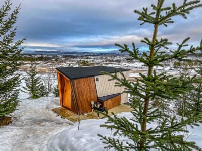 Glamping bajo la aurora boreal y trineo tirado por perros en Kvaløya desde Tromsø