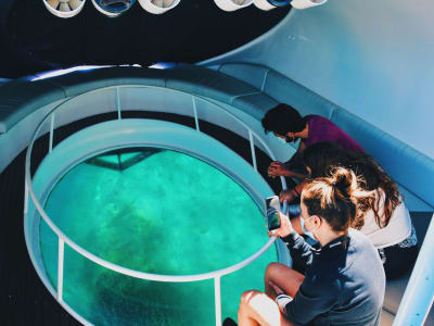 Excursion en bateau à fond de verre et snorkeling à São Miguel, Açores